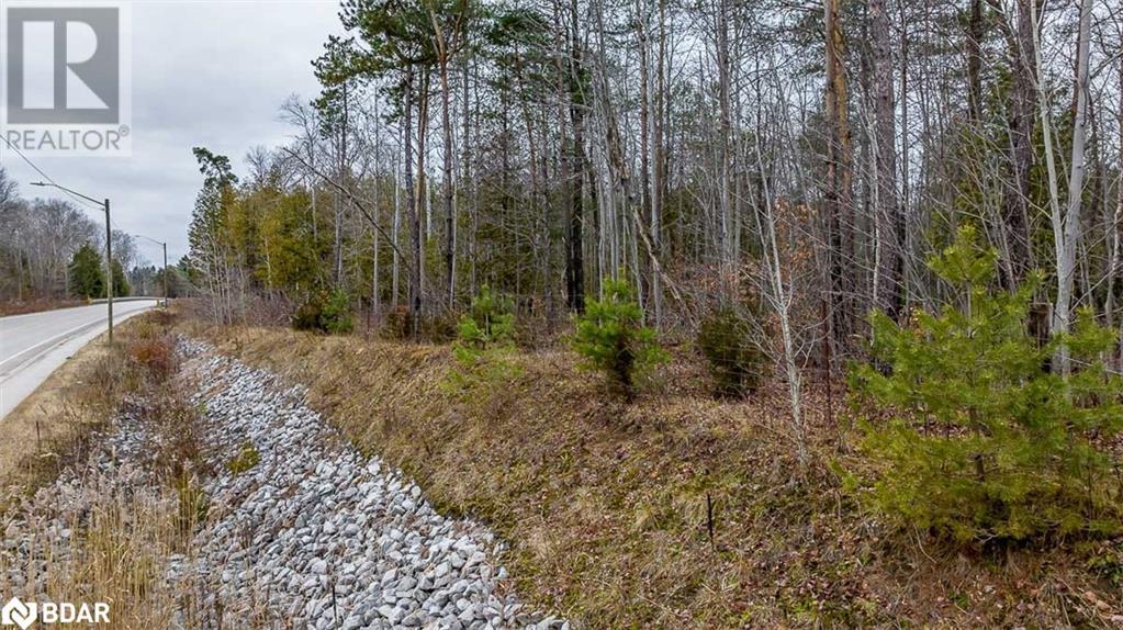 Listing 40136065 - Large Photo # 23