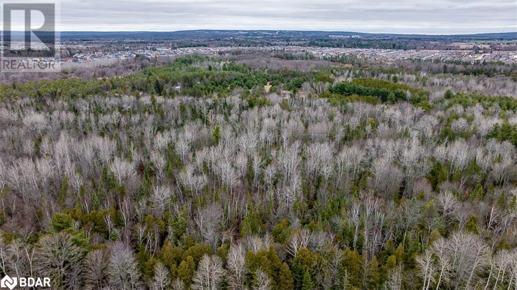 Listing 40136065 - Large Photo # 30