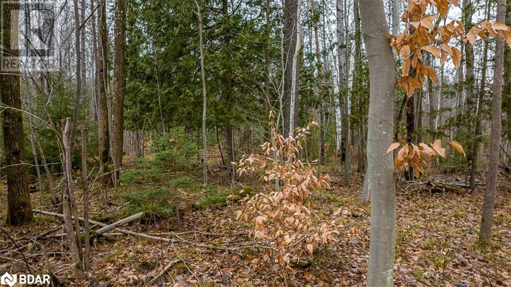 Listing 40136065 - Large Photo # 25