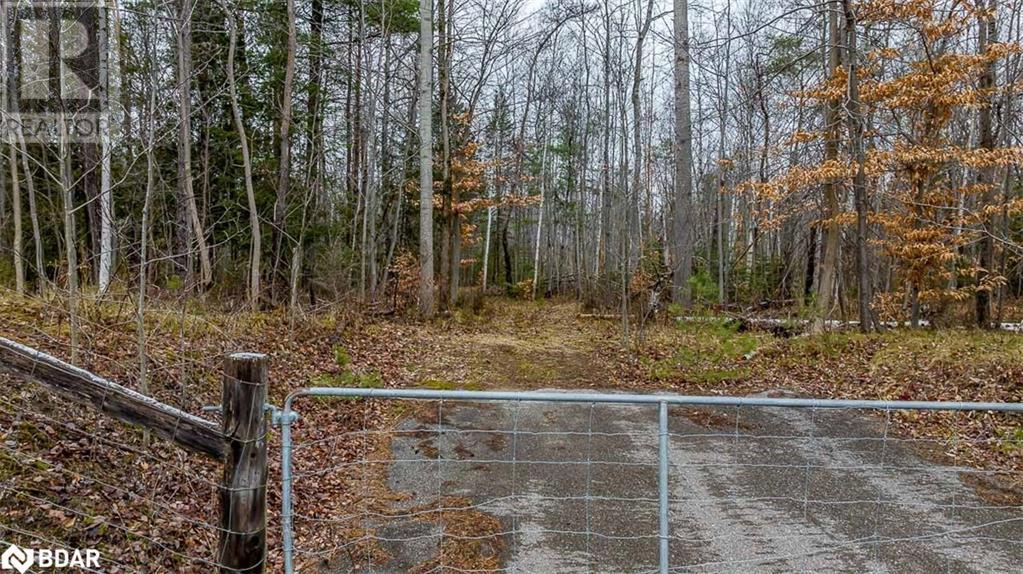 Listing 40136065 - Large Photo # 24