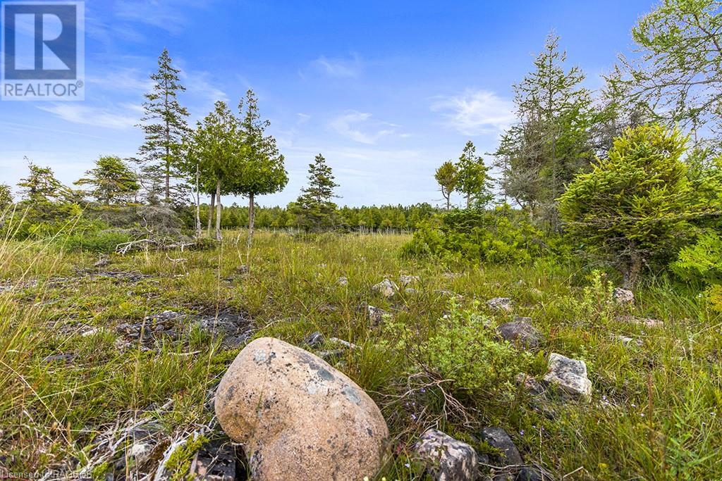 Listing 40145314 - Large Photo # 1