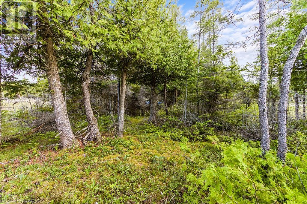 Listing 40145314 - Large Photo # 8