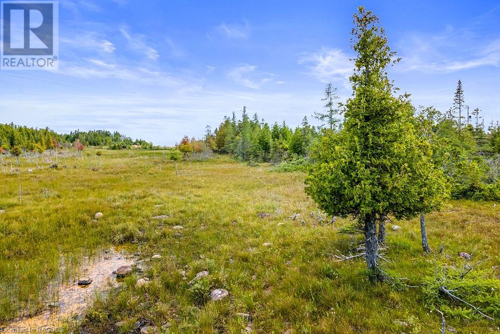 Listing 40145314 - Large Photo # 20