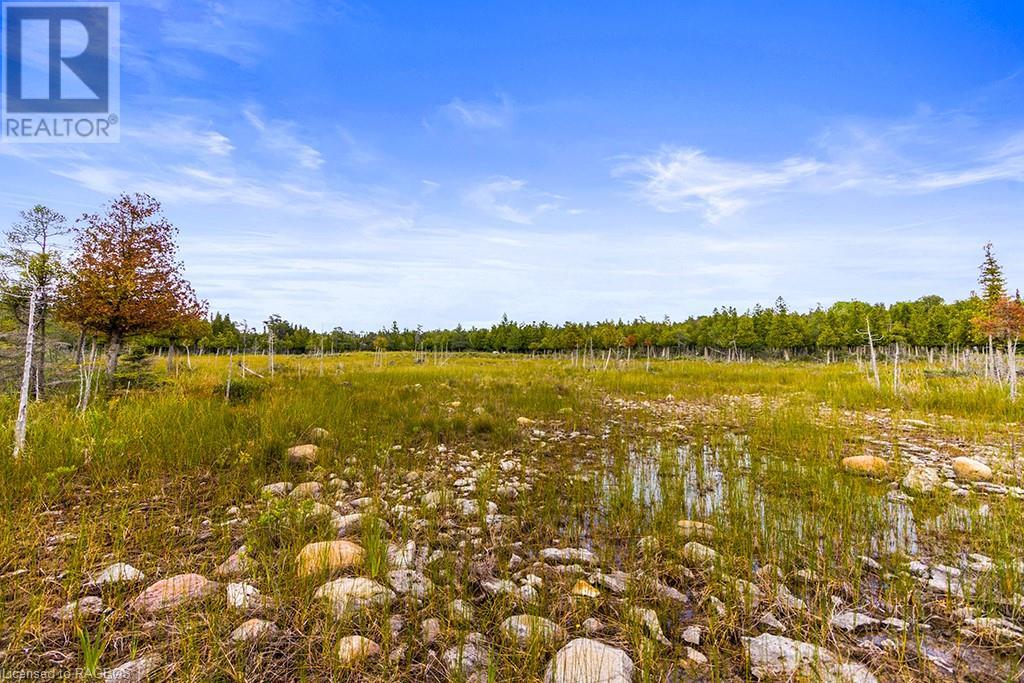 Listing 40145314 - Large Photo # 12