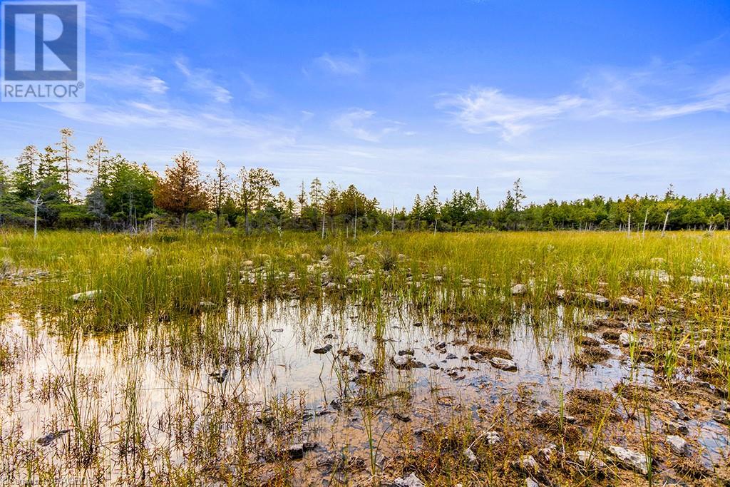 Listing 40145314 - Large Photo # 13