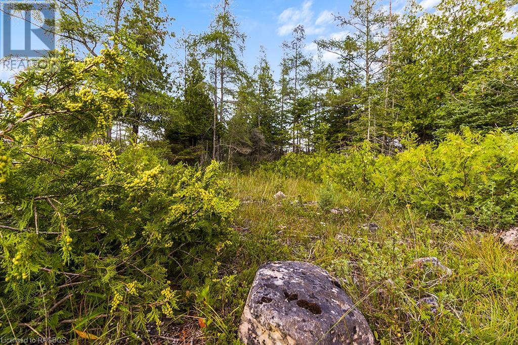 Listing 40145314 - Large Photo # 5
