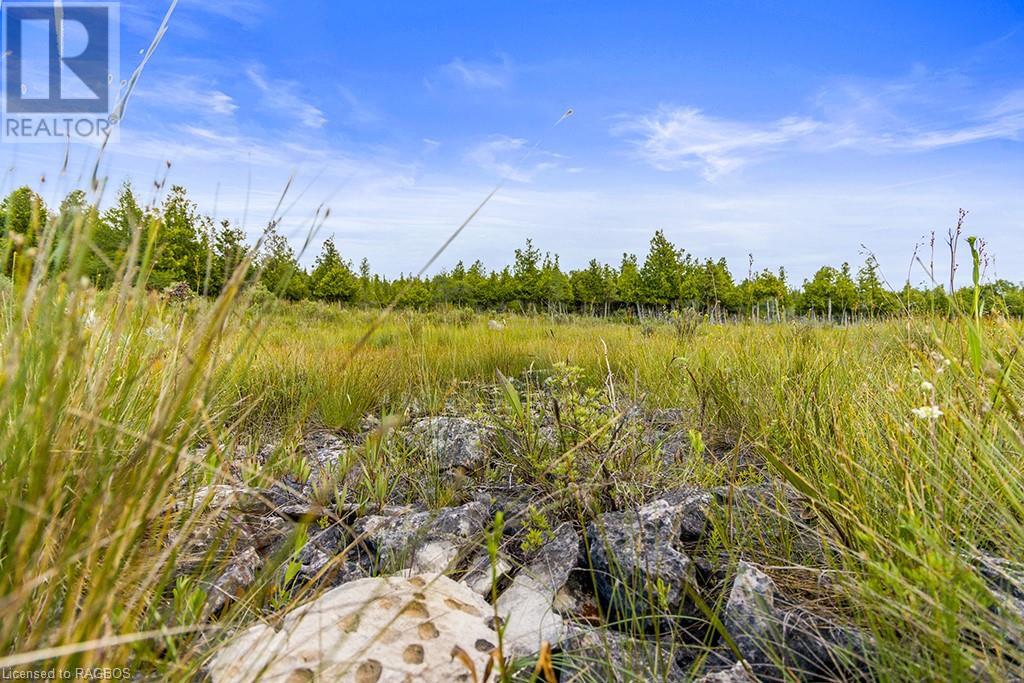 Listing 40145314 - Large Photo # 15
