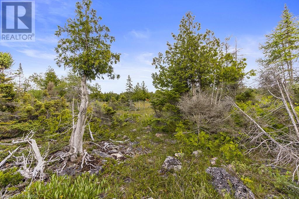 Listing 40145314 - Large Photo # 16