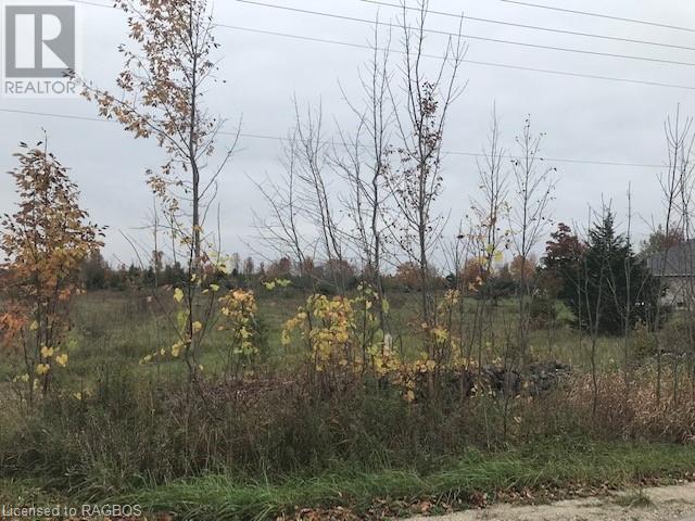 Listing 40174824 - Large Photo # 9