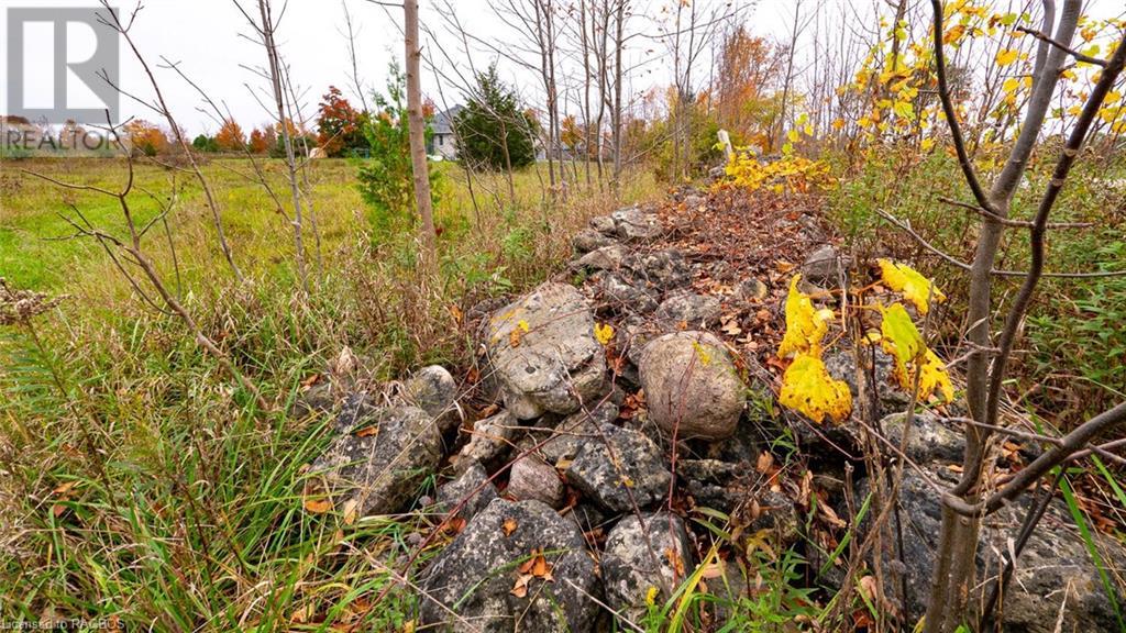 Listing 40174824 - Large Photo # 16