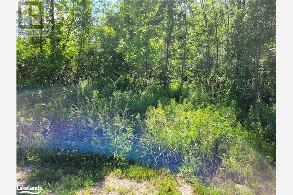 11325 26 Highway, Collingwood