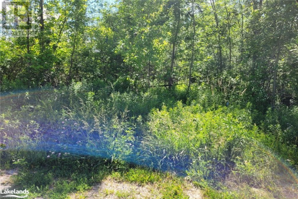 11325 26 Highway, Collingwood