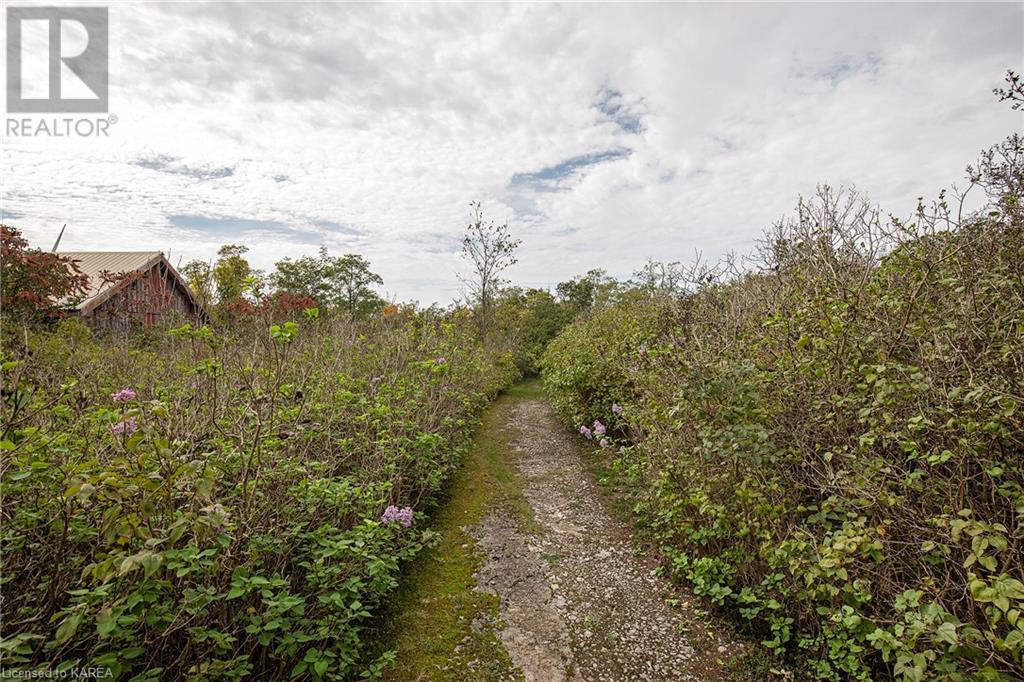 Listing 40233822 - Large Photo # 49