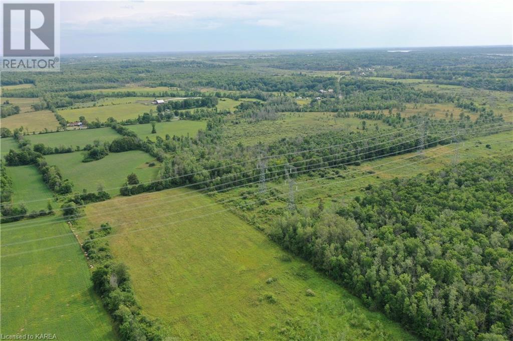 Listing 40236546 - Large Photo # 12