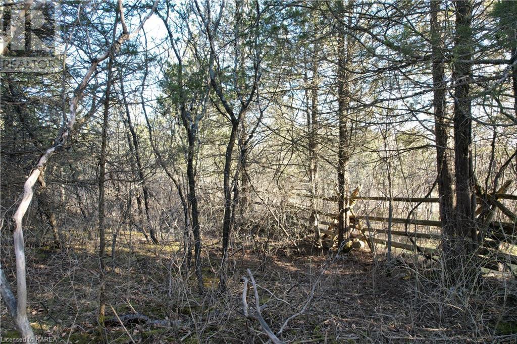 Listing 40245759 - Large Photo # 6
