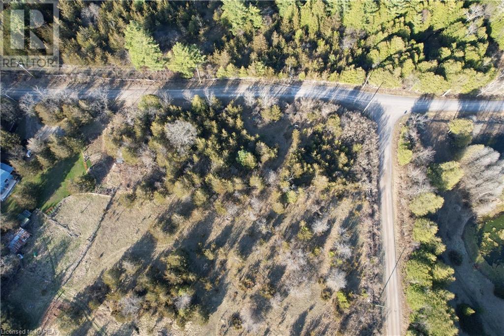 Listing 40245759 - Large Photo # 7