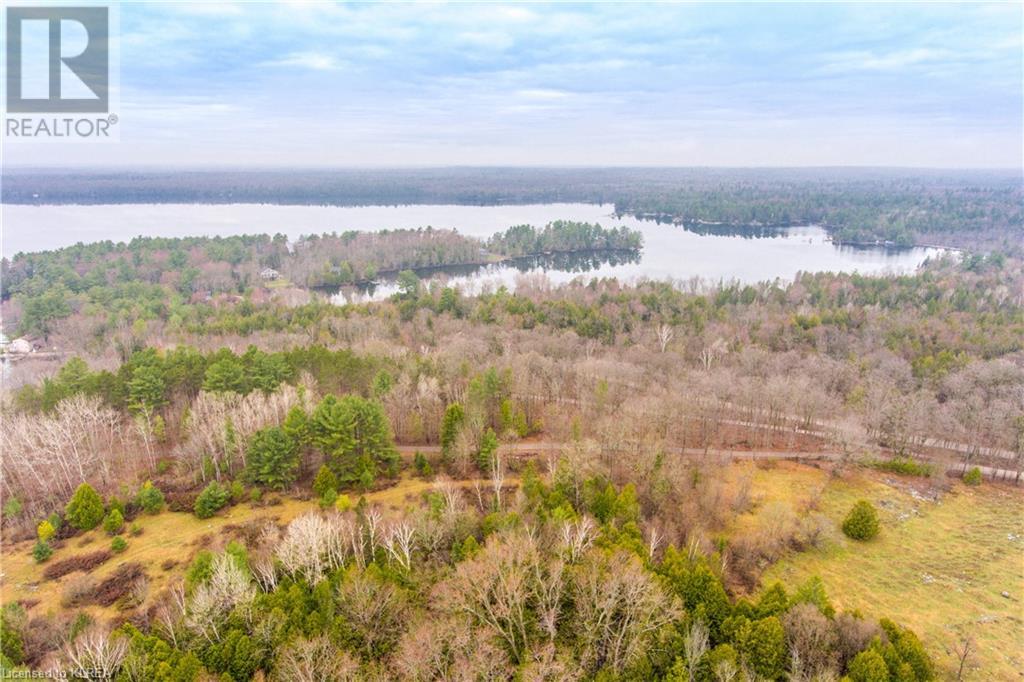 Listing 40252374 - Large Photo # 6