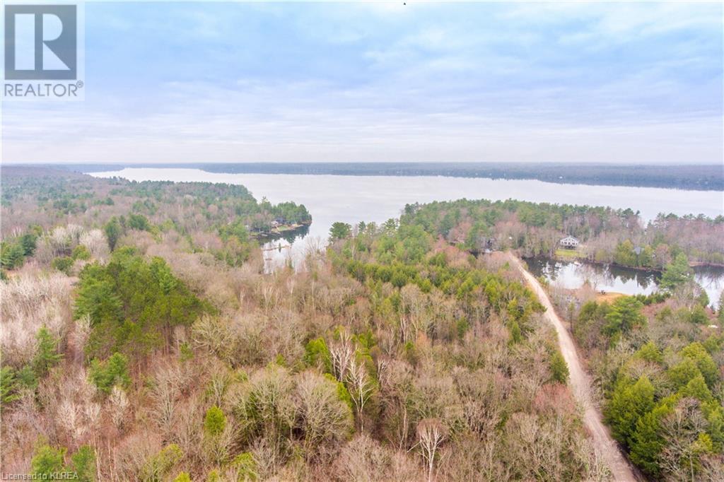 Listing 40252374 - Large Photo # 3