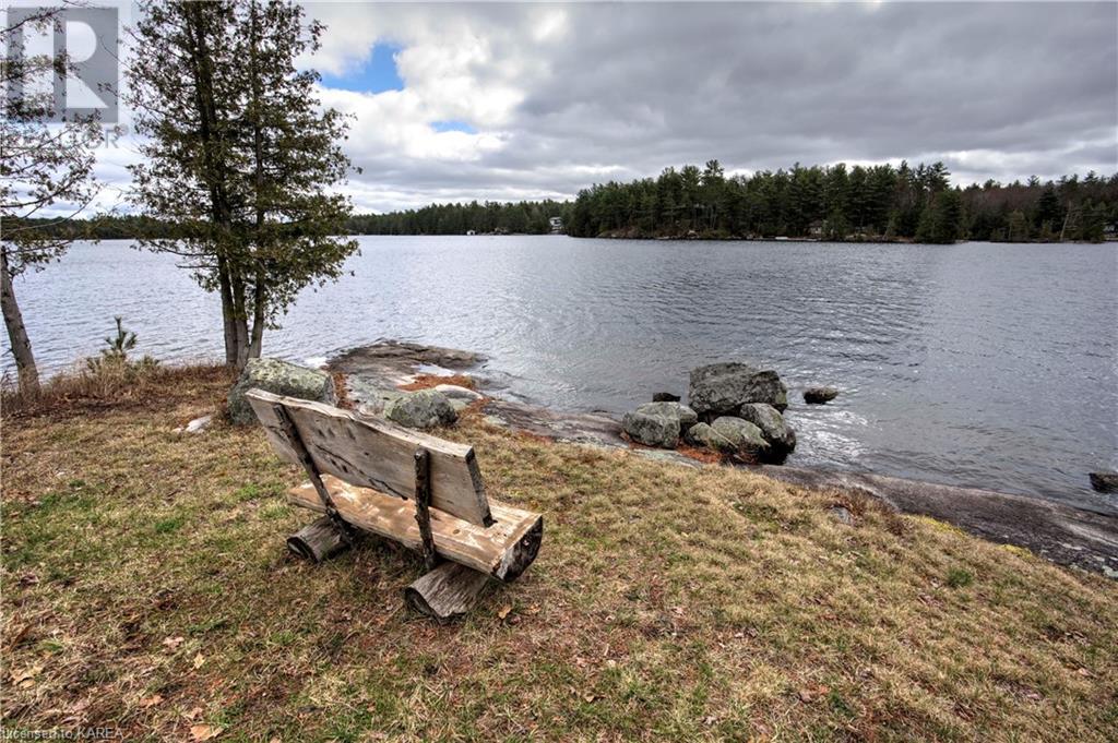 Listing 40254360 - Large Photo # 43