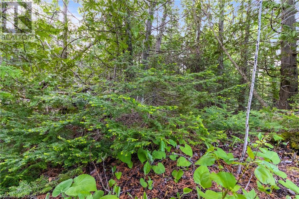 Listing 40268374 - Large Photo # 16
