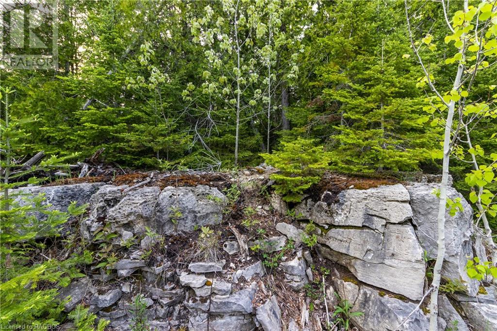 Listing 40268374 - Large Photo # 10