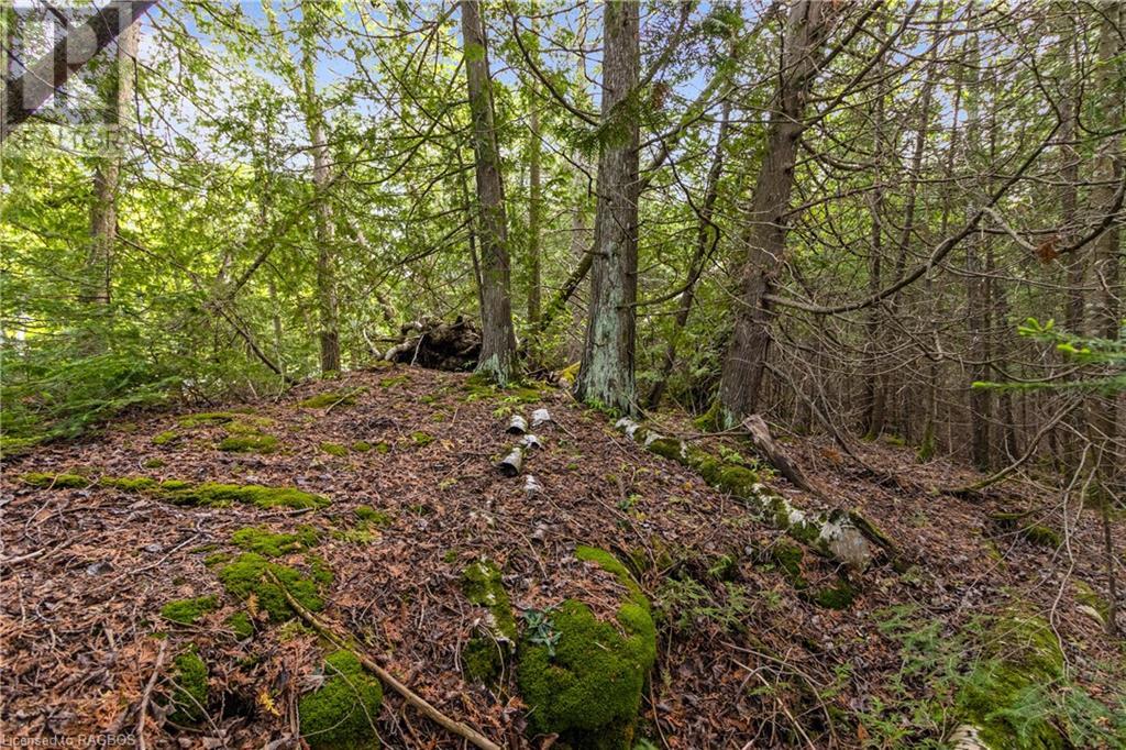 Listing 40268374 - Large Photo # 9