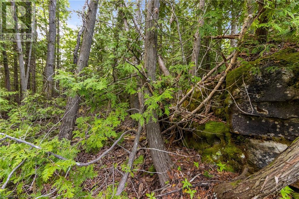 Listing 40268374 - Large Photo # 17