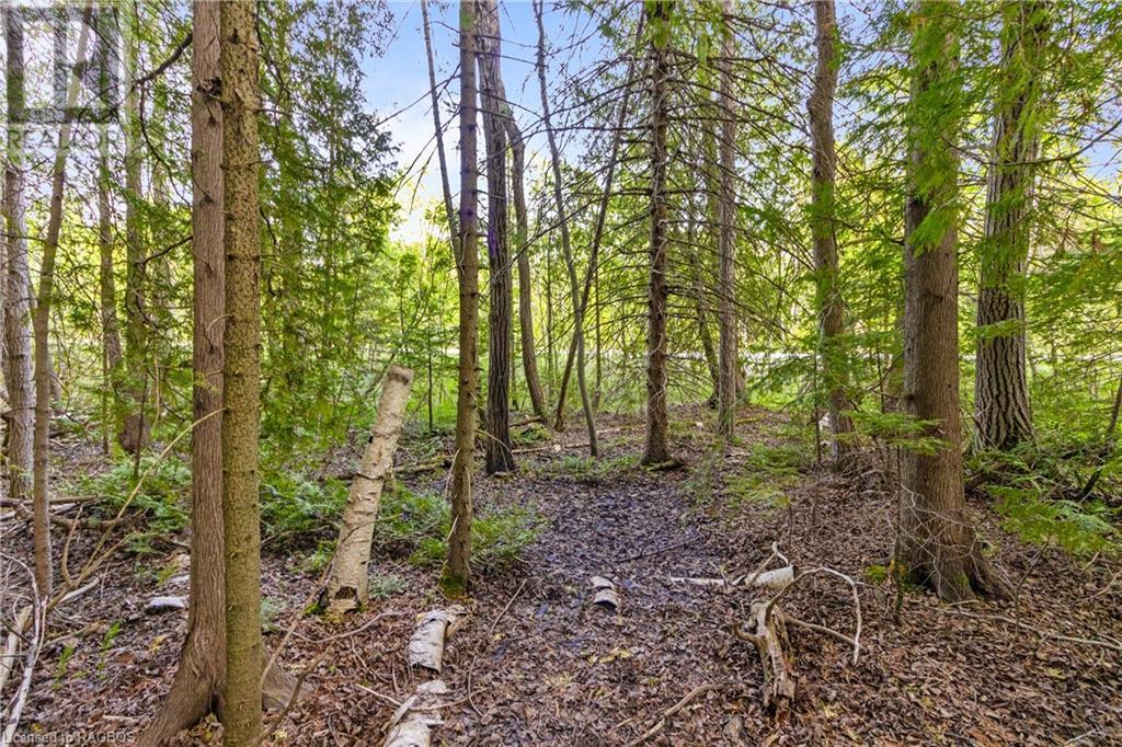 Listing 40268374 - Large Photo # 7