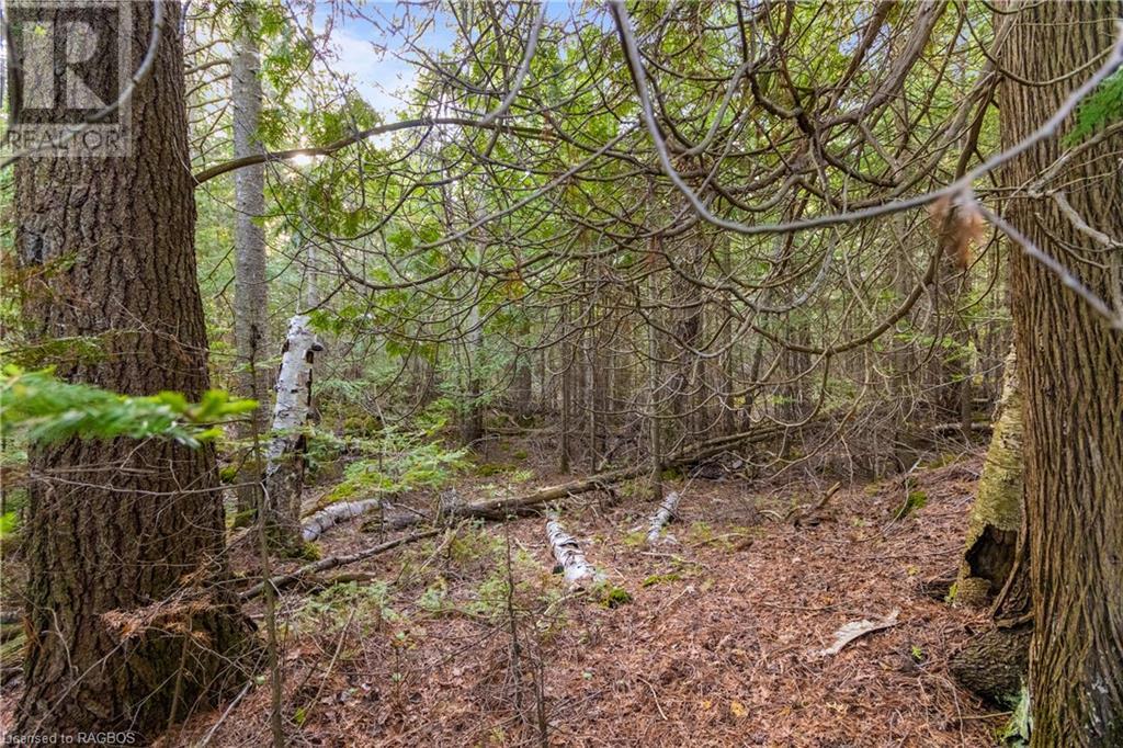 Listing 40268374 - Large Photo # 8