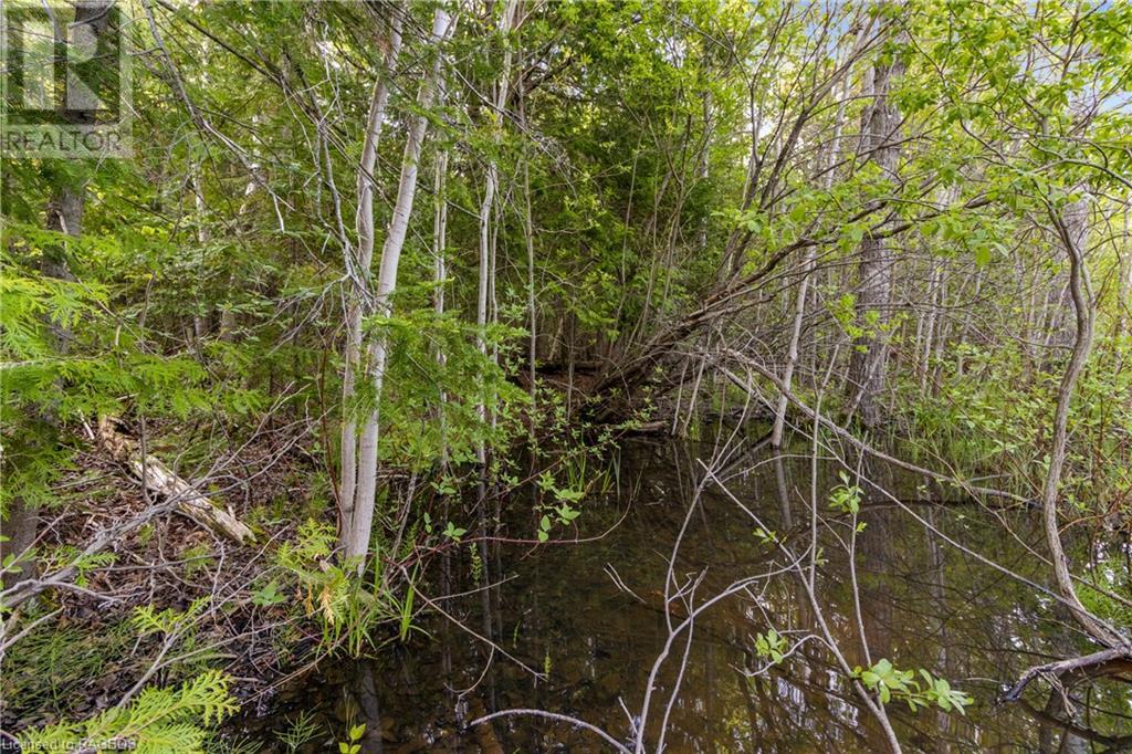 Listing 40268374 - Large Photo # 12