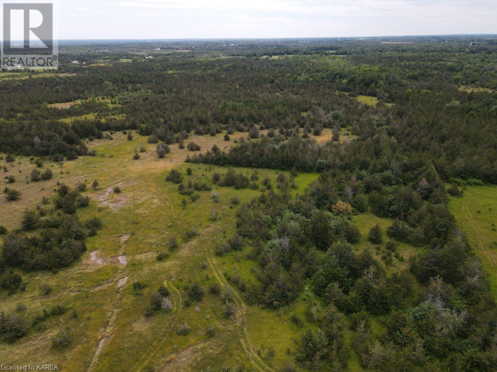 Listing 40270697 - Large Photo # 7
