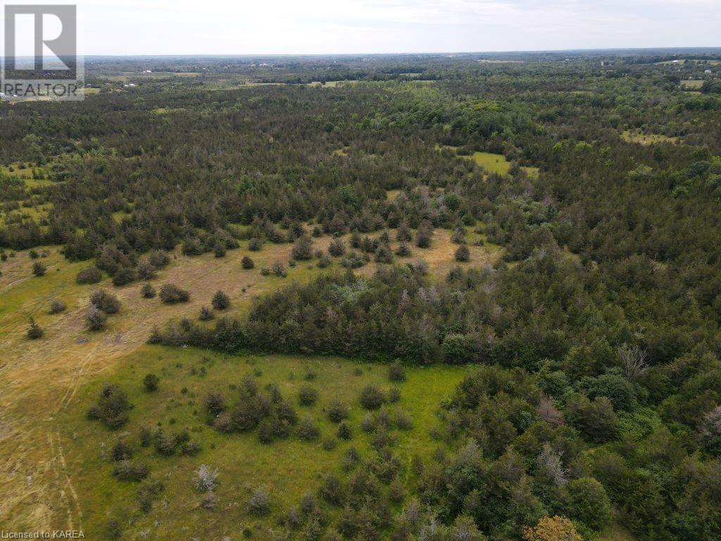Listing 40270697 - Large Photo # 8