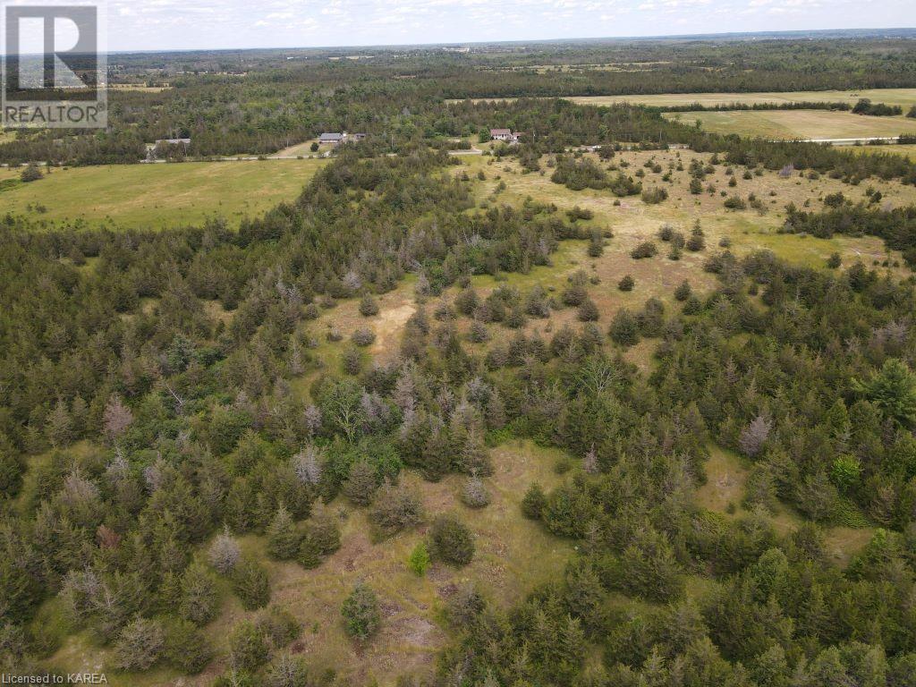 Listing 40270697 - Large Photo # 16