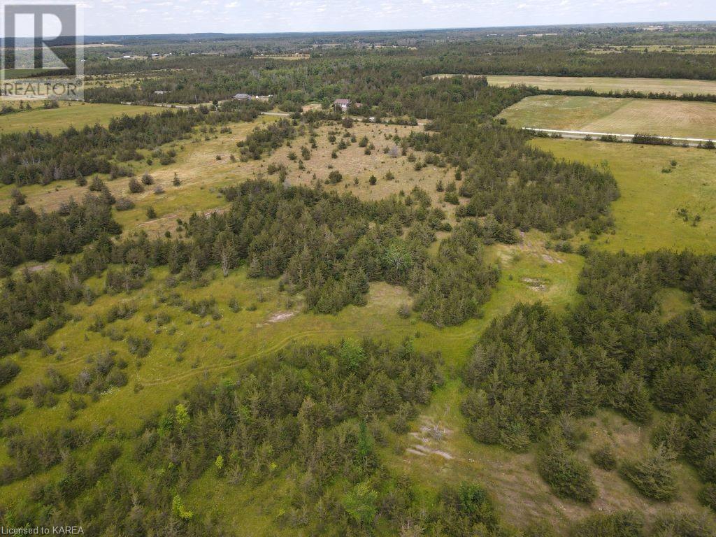 Listing 40270697 - Large Photo # 19
