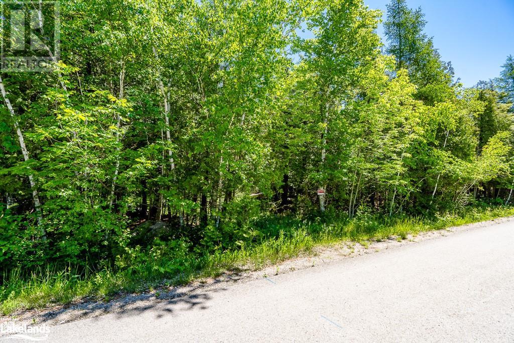 Listing 40279011 - Large Photo # 3