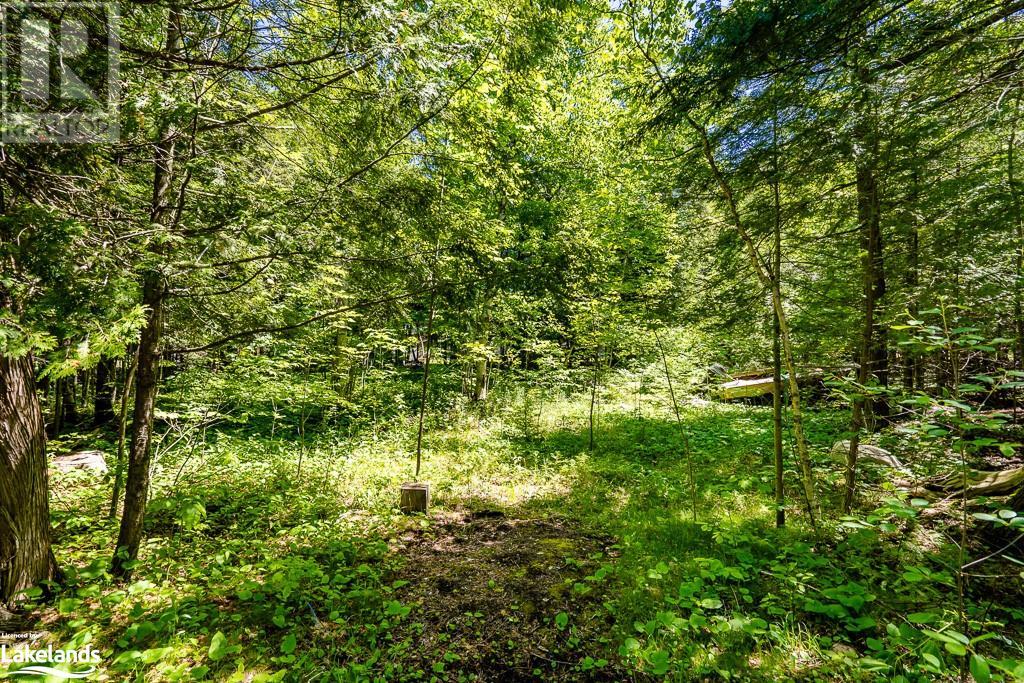Listing 40279011 - Large Photo # 6