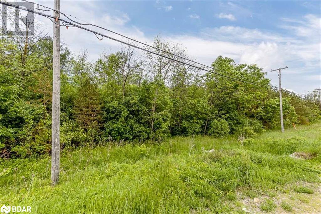 Listing 40280317 - Large Photo # 6