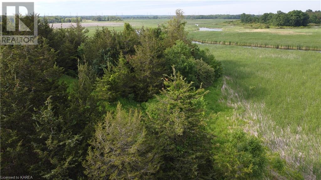 Listing 40280932 - Large Photo # 18