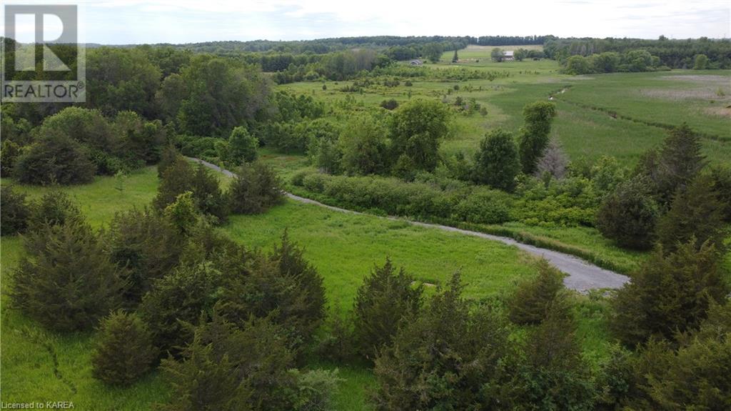 Listing 40280932 - Large Photo # 14