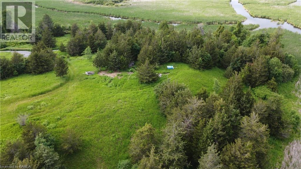 Listing 40280932 - Large Photo # 19