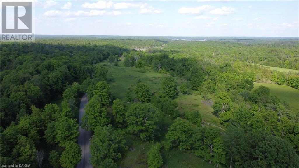 Listing 40281138 - Large Photo # 5