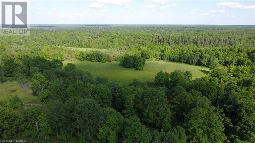 Listing 40281138 - Large Photo # 4