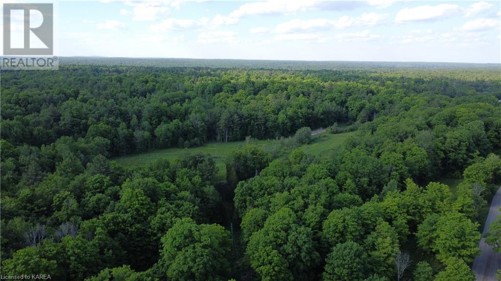 Listing 40281157 - Large Photo # 12