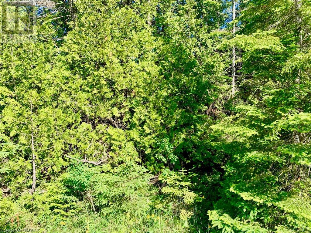 Listing 40288647 - Large Photo # 20
