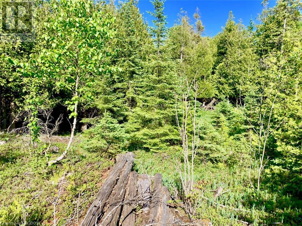 Listing 40288647 - Large Photo # 11