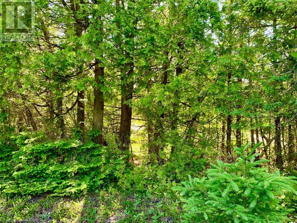 Listing 40288647 - Large Photo # 6