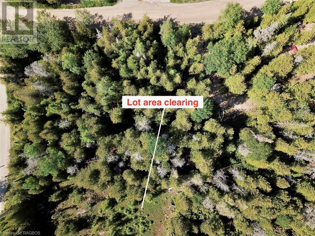 Listing 40288647 - Large Photo # 7