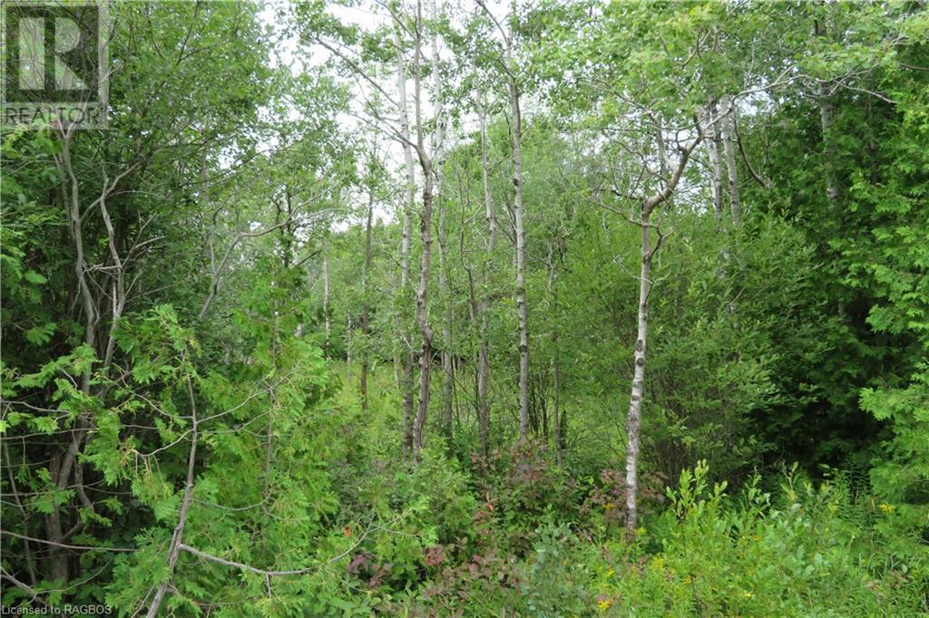 Listing 40288786 - Large Photo # 6