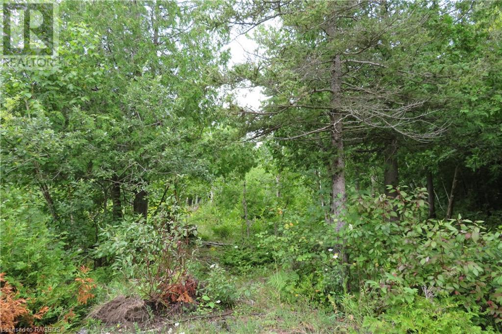 Listing 40288786 - Large Photo # 7