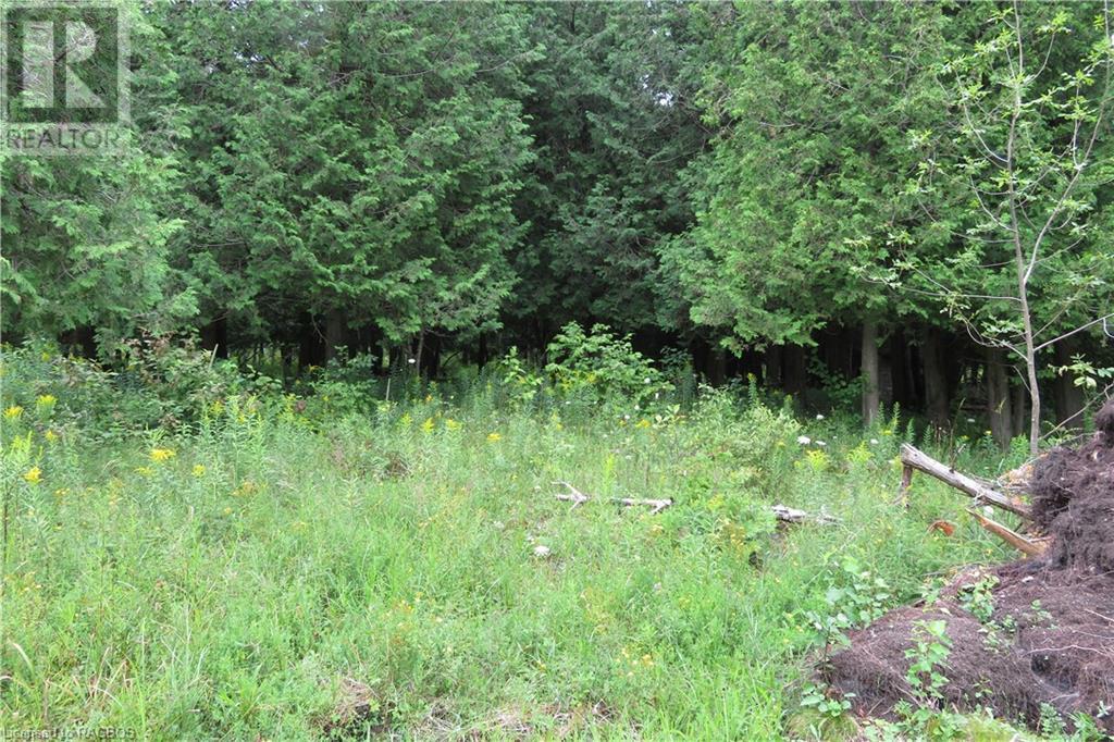 Listing 40288786 - Large Photo # 11
